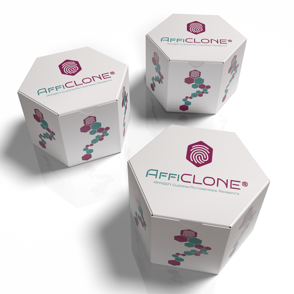 AffiCLONE® Bovine IL-1b cDNA Clone, 10 ug