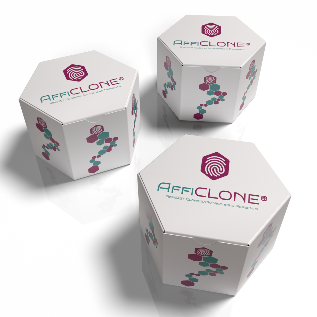 AffiCLONE® Human PAPP-A cDNA Clone, 10 ug