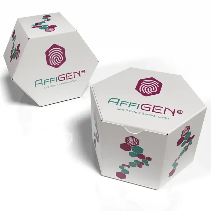 AffiCUSTOM® Visium HD spatial transcriptomics service -4 samples with a 6.5 × 6.5 mm capture area, including the complete workflow and data delivery (FASTQ files + Space Ranger output