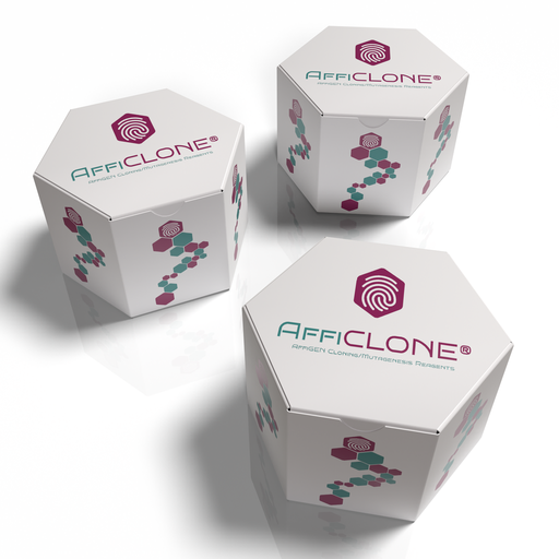 [AFG-GNS-2483] AffiCLONE® Ovine IL-4 cDNA Clone, 10 ug
